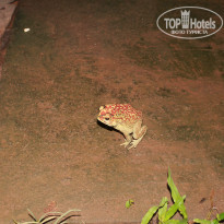 фото из отзыва ID 903752