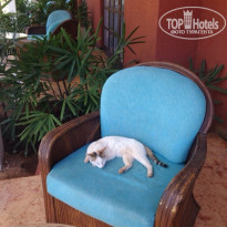 фото из отзыва ID 904040