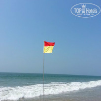 фото из отзыва ID 904031