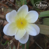 фото из отзыва ID 904048