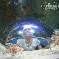 фото из отзыва ID 904119