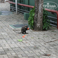 фото из отзыва ID 904243