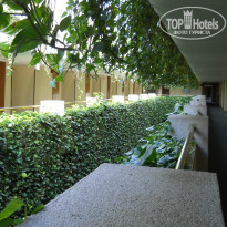 фото из отзыва ID 904108