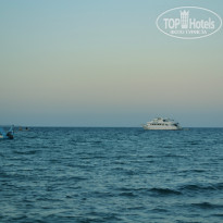 фото из отзыва ID 904500