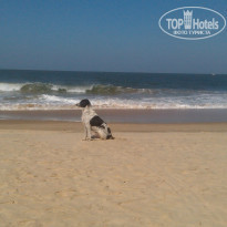 фото из отзыва ID 904574