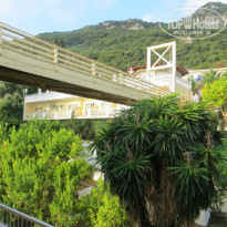 фото из отзыва ID 904638