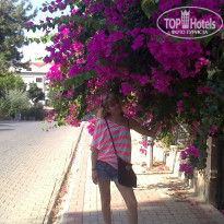 фото из отзыва ID 904771