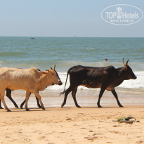 фото из отзыва ID 904828