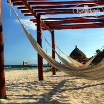 фото из отзыва ID 904893