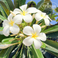 фото из отзыва ID 904912