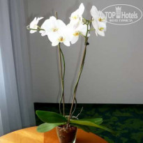 фото из отзыва ID 90555