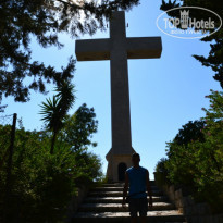 фото из отзыва ID 905100