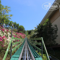 фото из отзыва ID 905232