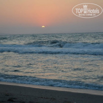 фото из отзыва ID 905291