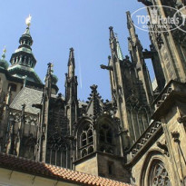 фото из отзыва ID 905370