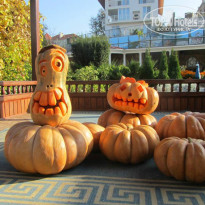 фото из отзыва ID 905659