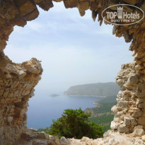 фото из отзыва ID 905972