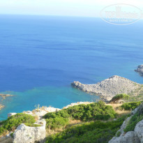 фото из отзыва ID 905972