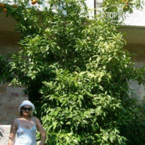 фото из отзыва ID 90660