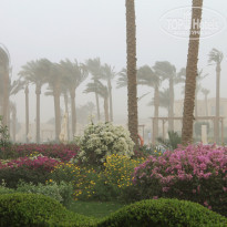 фото из отзыва ID 906008