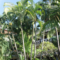 фото из отзыва ID 906080