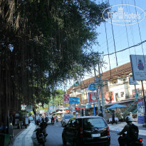 фото из отзыва ID 906080