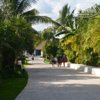 фото из отзыва ID 906296