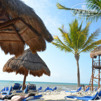 фото из отзыва ID 906296