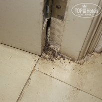 фото из отзыва ID 906365