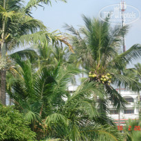 фото из отзыва ID 906391