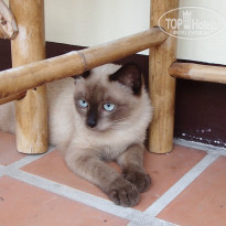 фото из отзыва ID 906601