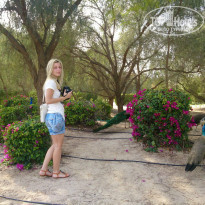 фото из отзыва ID 906649