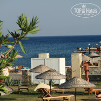 фото из отзыва ID 906706