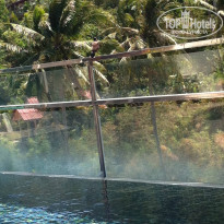 фото из отзыва ID 906831