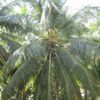 фото из отзыва ID 906932