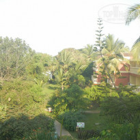 фото из отзыва ID 906936