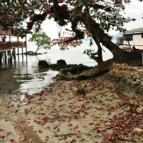 фото из отзыва ID 907048