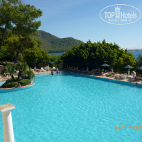 фото из отзыва ID 907129