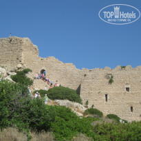 фото из отзыва ID 907155