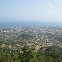 фото из отзыва ID 907155