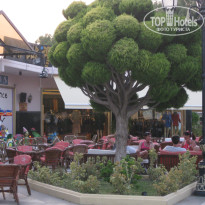 фото из отзыва ID 907155