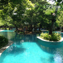 фото из отзыва ID 907244