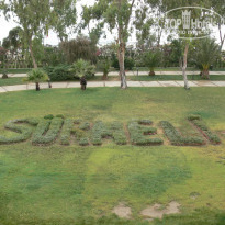 фото из отзыва ID 907264