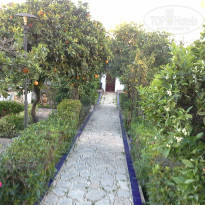 фото из отзыва ID 907395