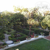 фото из отзыва ID 907395