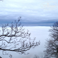 фото из отзыва ID 907412