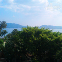 фото из отзыва ID 907529