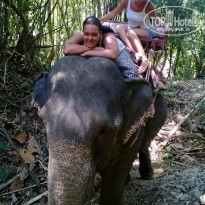 фото из отзыва ID 907639