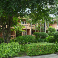 фото из отзыва ID 907703