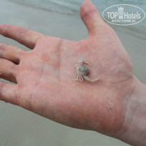 фото из отзыва ID 907751